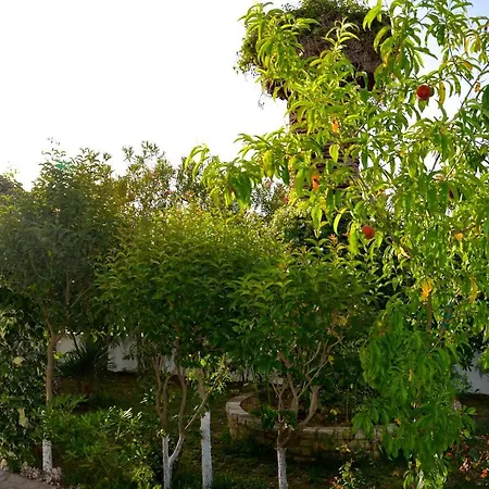 דירה Kostas' Garden