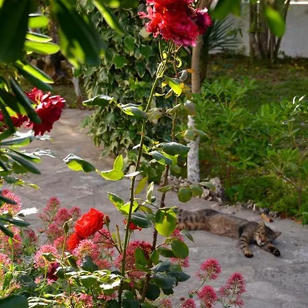 Appartamento Kostas' Garden *